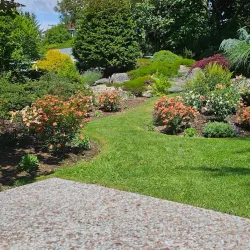 Nakusp Farmers Market - Nakusp