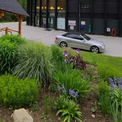 Nakusp Hot Springs - Nakusp