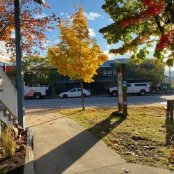 Nakusp Museum and Heritage Village - Nakusp