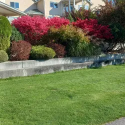 Nakusp Waterfront Park - Nakusp