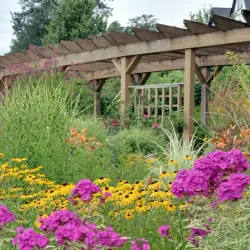 Nakusp Waterfront Park - Nakusp