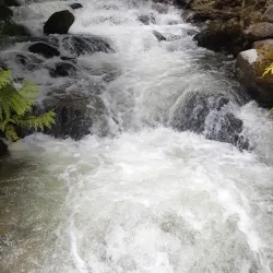 Upper Arrow Lake - Nakusp