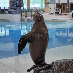 Nanaimo Aquatic Centre - Nanaimo