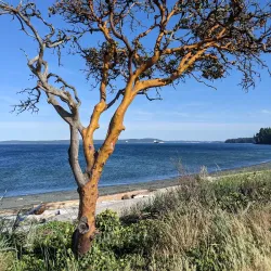 Pipers Lagoon Park - Nanaimo