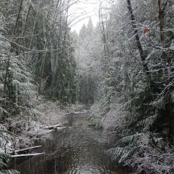 Westwood Lake Park - Nanaimo
