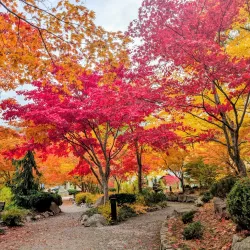 Cottonwood Falls Park - Nelson BC