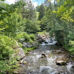 Cottonwood Falls Park - Nelson BC