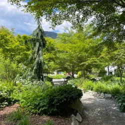 Cottonwood Falls Park - Nelson BC