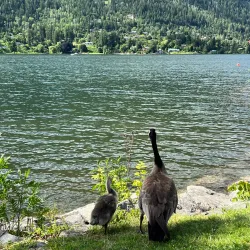 Kootenay Lake - Nelson BC