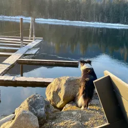 Nelson Marina - Nelson BC