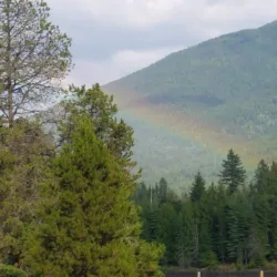 Nelson Marina - Nelson BC