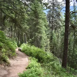 Pulpit Rock Trail - Nelson BC
