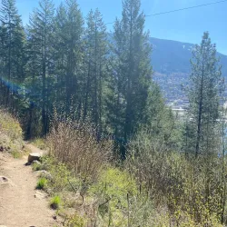 Pulpit Rock Trail - Nelson BC