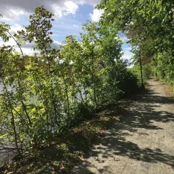 New Glasgow Riverfront Trail - New Glasgow Nova Scotia