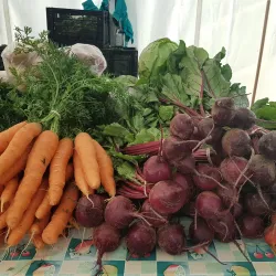The New Glasgow Farmers' Market - New Glasgow Nova Scotia