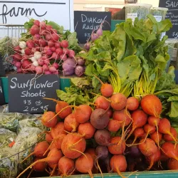 The New Glasgow Farmers' Market - New Glasgow Nova Scotia