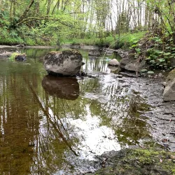Hume Park - New Westminster