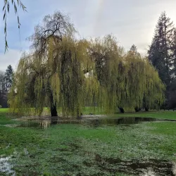 Hume Park - New Westminster