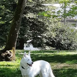 Riverside Park - New Westminster