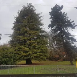 Riverside Park - New Westminster