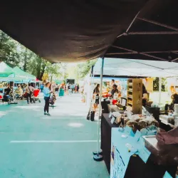 Royal City Farmers Market - New Westminster