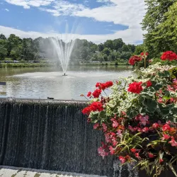 Fairy Lake Park - Newmarket