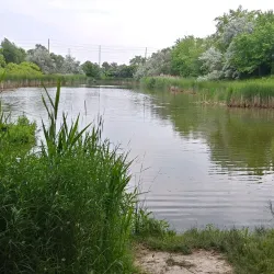 Fairy Lake Park - Newmarket