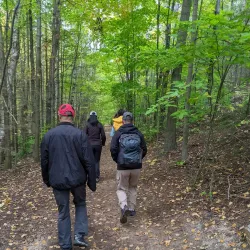 Glenway Golf Course - Newmarket