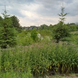 Glenway Golf Course - Newmarket