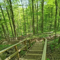 Glenway Golf Course - Newmarket