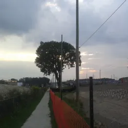 Glenway Golf Course - Newmarket