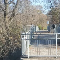 Main Street Newmarket - Newmarket