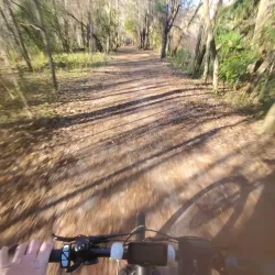 Main Street Newmarket - Newmarket