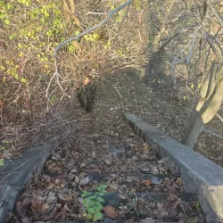 Main Street Newmarket - Newmarket