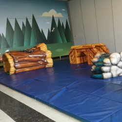 Ray Twinney Recreation Complex - Newmarket