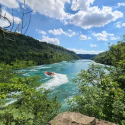 Niagara Glen Nature Reserve - Niagara Falls