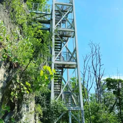 Niagara Glen Nature Reserve - Niagara Falls