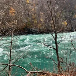 Niagara Glen Nature Reserve - Niagara Falls
