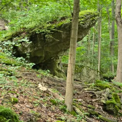 Niagara Glen Nature Reserve - Niagara Falls