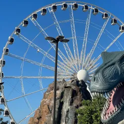 Niagara SkyWheel - Niagara Falls
