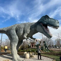 Niagara SkyWheel - Niagara Falls