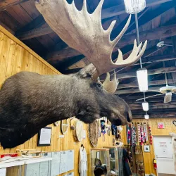 Indigenous Cultural Experiences - Norman Wells