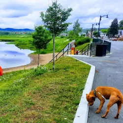 Capreol Park - North Bay