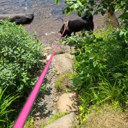 Capreol Park - North Bay