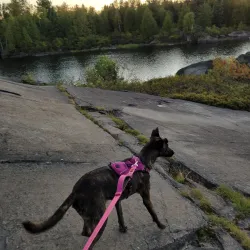 Capreol Park - North Bay