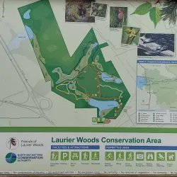 Laurier Woods Conservation Area - North Bay