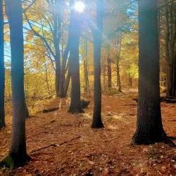 Laurier Woods Conservation Area - North Bay