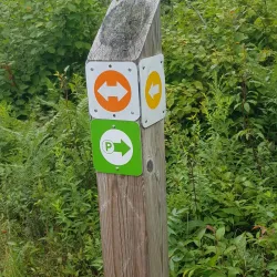 Laurier Woods Conservation Area - North Bay