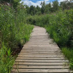 Laurier Woods Conservation Area - North Bay