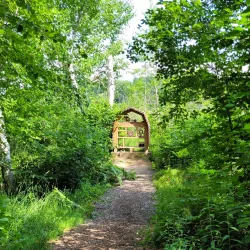 Laurier Woods Conservation Area - North Bay